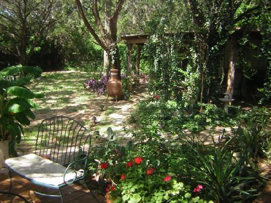 Casa Del Sol Bed And Breakfast Lakeway Szoba fotó